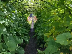 Castle Garden in Ulriksdal