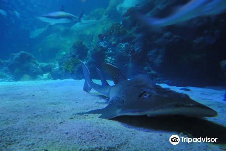 SEA LIFE Oberhausen