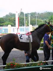 Hipodromo Camarero