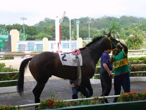 Hipodromo Camarero