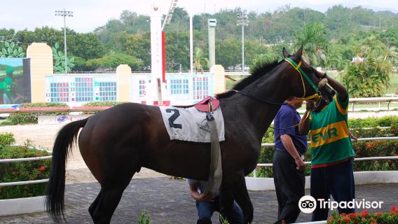 Hipódromo Camarero