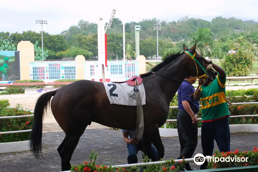 Hipodromo Camarero