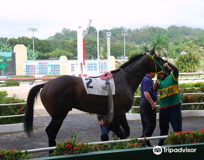 Hipodromo Camarero