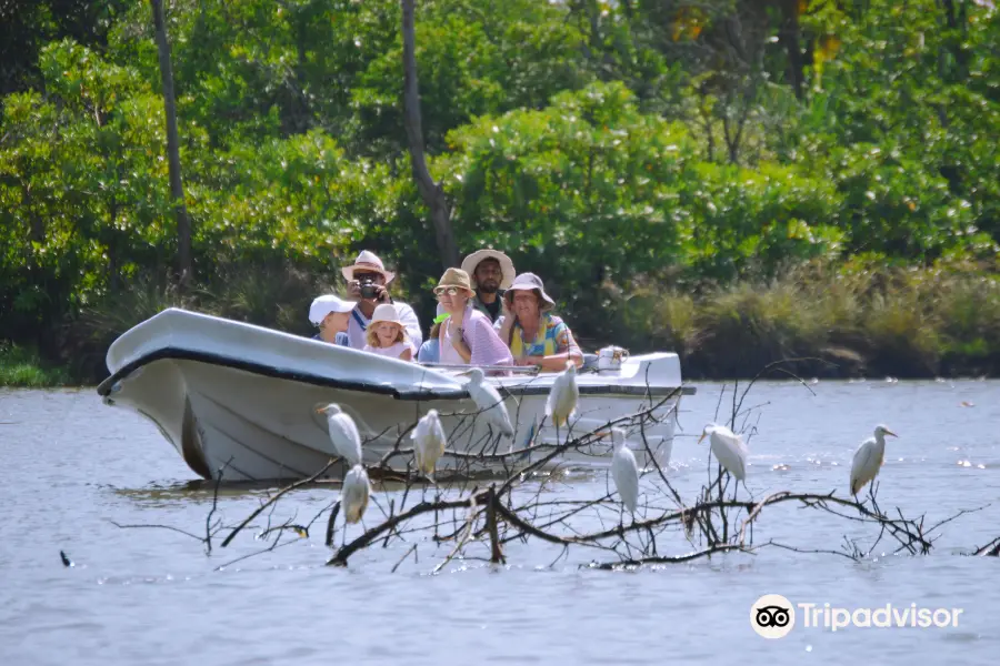 Eco Friendly River Safari