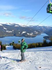 Ski Resort Transalpina