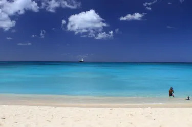 ブライトン・ビーチ