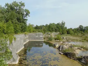 Fisk Quarry Preserve