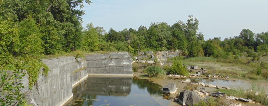 Fisk Quarry Preserve