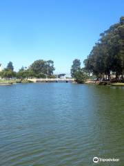 El Estero Boating