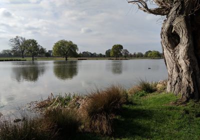 Bushy Park