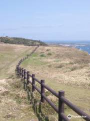 Mahana Lookouts