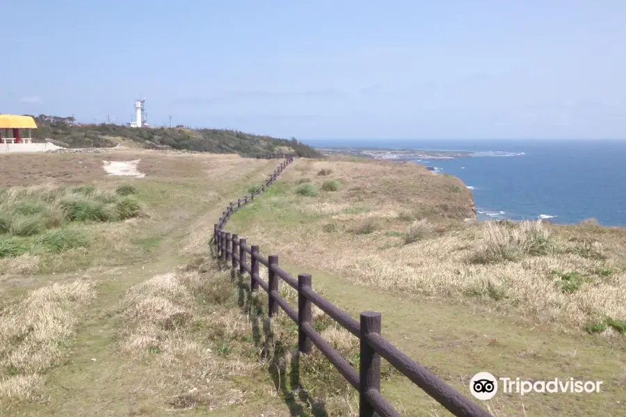 Mahana Lookouts