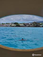 Kona Glassbottom Boat - Kailua Bay Charter Co.