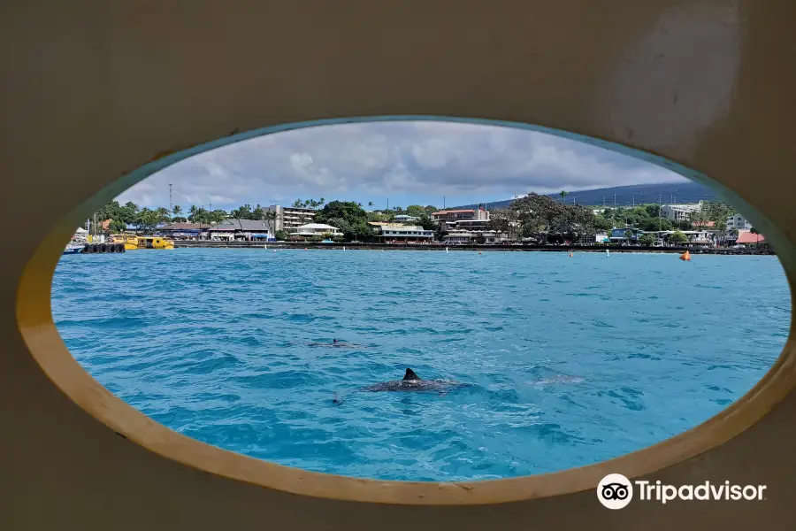 Kona Glassbottom Boat - Kailua Bay Charter Co.