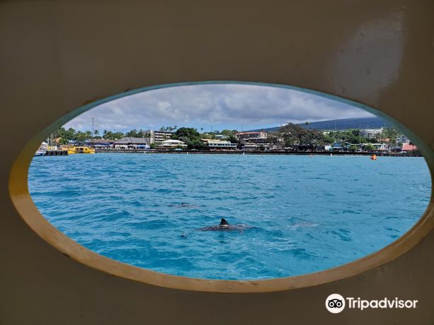 Kona Glassbottom Boat