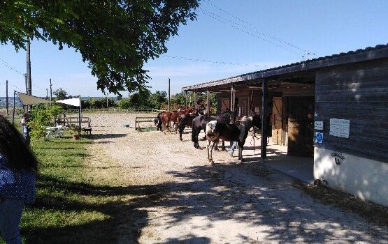 Le Ranch Des Centaurées - Ferme Equestrian