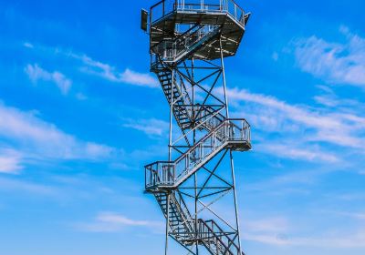 Rubikiai Observation Tower