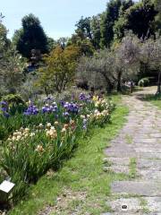 Giardino dell'Iris