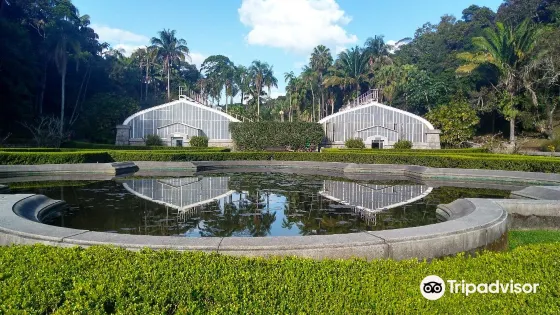 São Paulo Botanical Garden