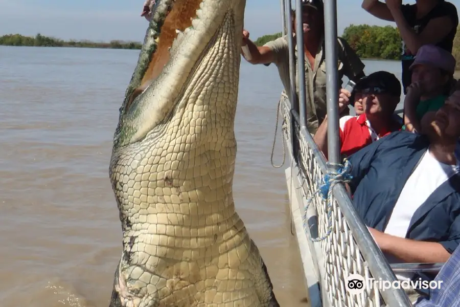 Adelaide River Cruises