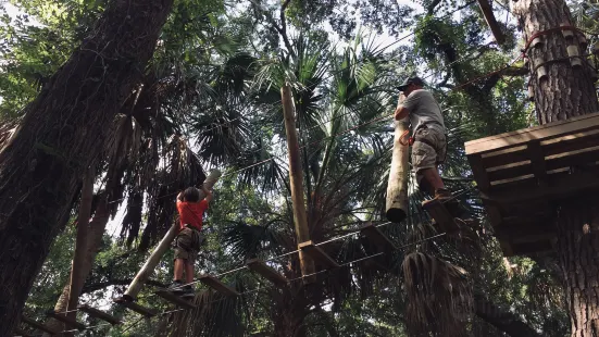 Tree Top Adventure at Faith Haven