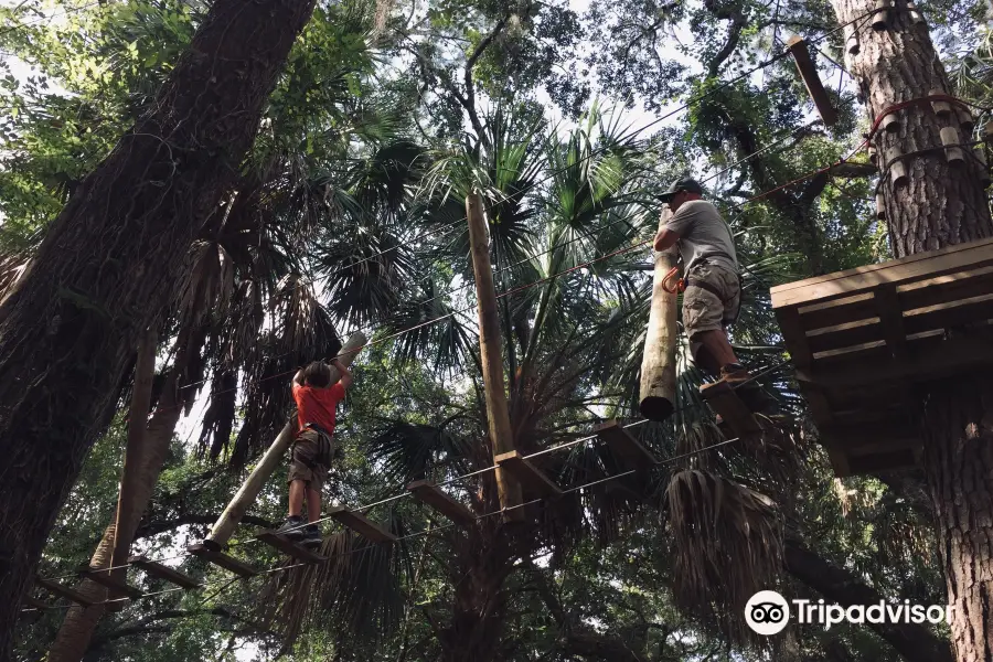 Tree Top Adventure at Faith Haven