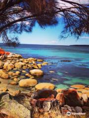 Bay of Fires Conservation Area