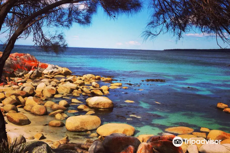 Bay of Fires Conservation Area