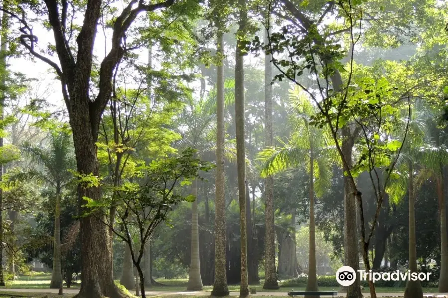 Jardim Botânico do Rio de Janeiro