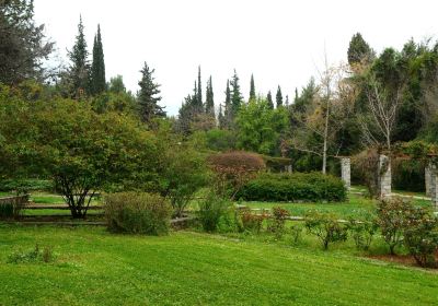 Botanical Garden Diomedes