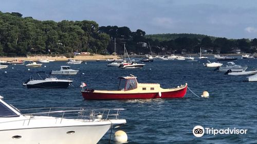 Arcachon Bay