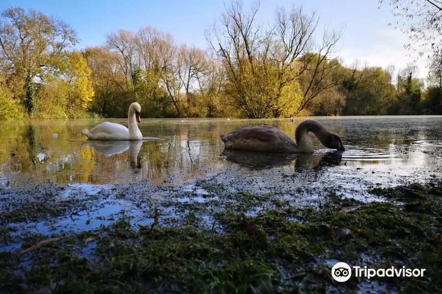 Watermead Park