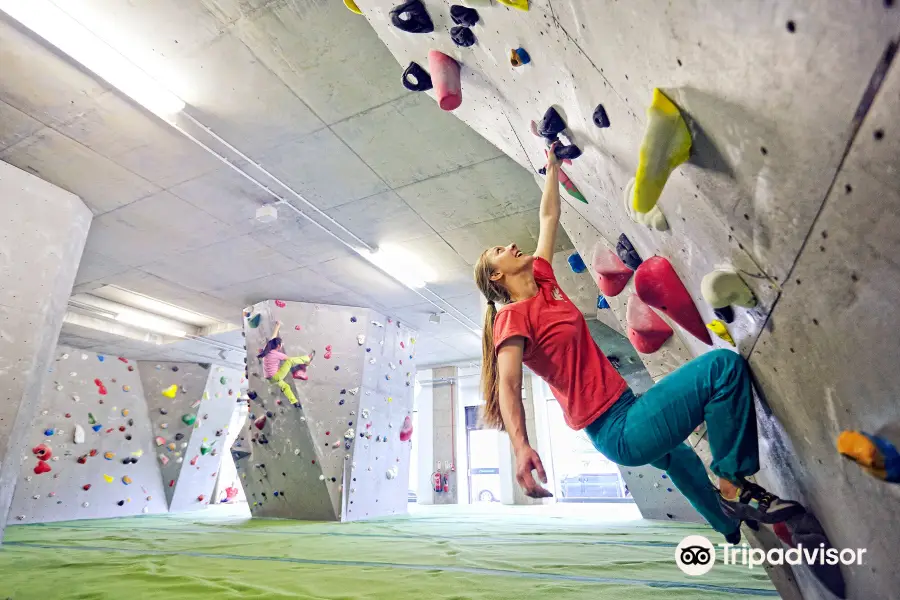 Arch Climbing Wall: Arch North