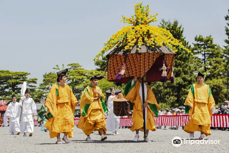 Aoi Matsuri