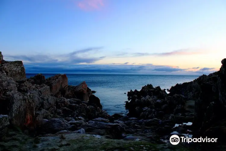 Clogherhead Headland Walk