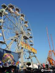 Steel Pier