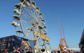 Steel Pier