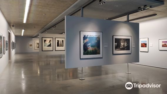 Museum of Contemporary Art Diether Kunerth