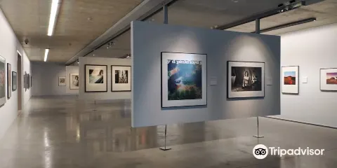 Museo Di Arte Contemporanea Diether Kunerth