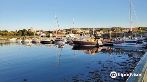 Rockland Harbor Trail