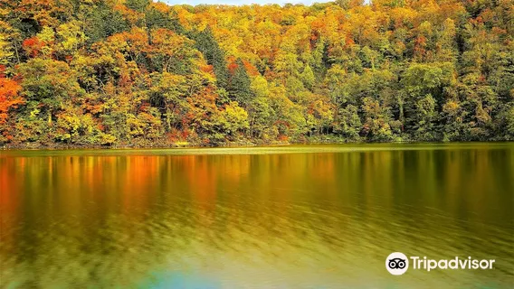 Hangetsukohan Nature Park