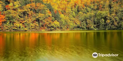 半月湖畔自然公園