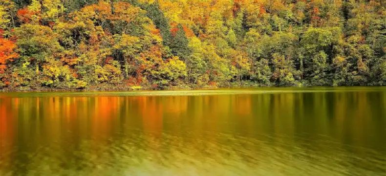 倶知安のホテル