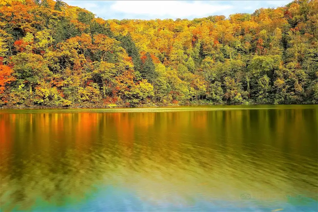 Hotels near Hangetsukohan Nature Park