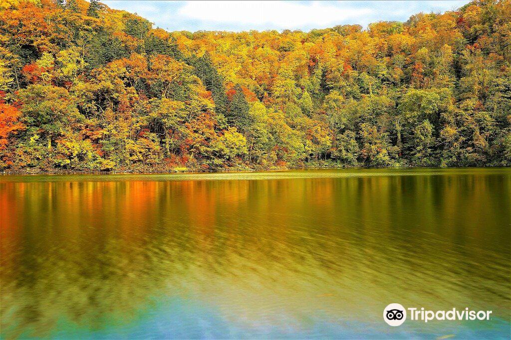 Hangetsukohan Nature Park