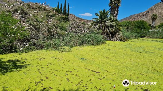 Leidam Bird Sanctuary