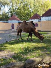 アーヘナー・ティアーパーク・オイレギオ動物園