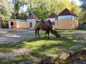 Tierpark Aachen