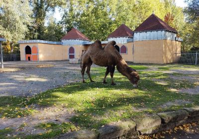 アーヘナー・ティアーパーク・オイレギオ動物園