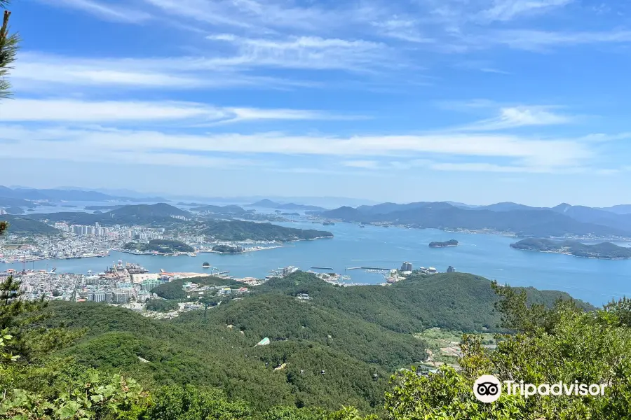 미륵산 - 운영 시간, 후기 & 사진 [2024년] | Trip.com 미륵산 - 운영 시간, 후기 & 사진 [2024년] | Trip.com 
